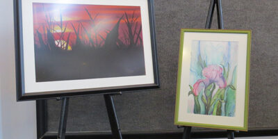 Jane-Brown Jane's paintings